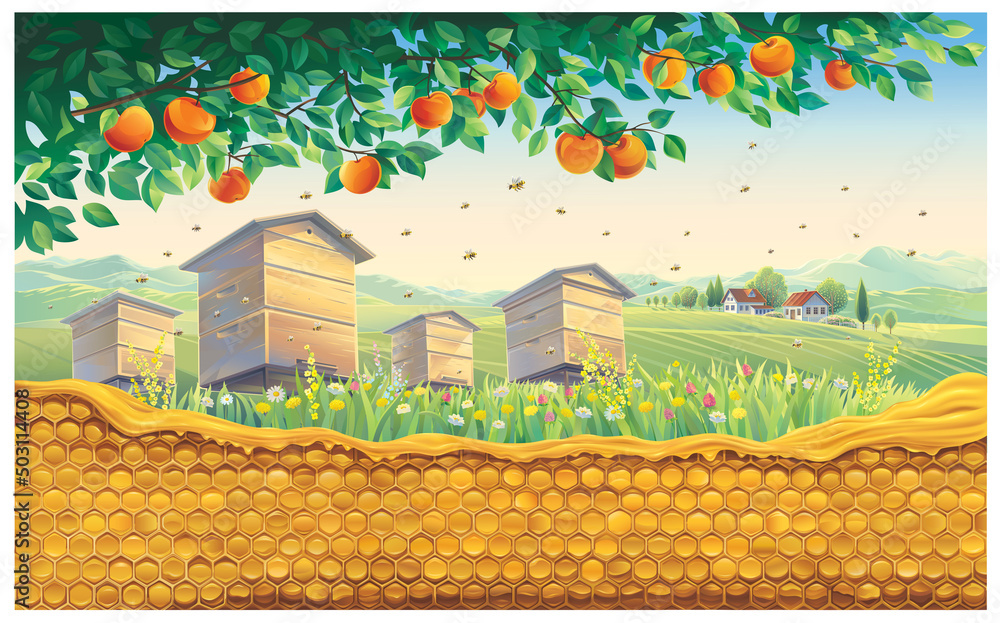 Bee apiary with bee honeycomb in the foreground against the background of a rural landscape with a village. Vector illustration. - obrazy, fototapety, plakaty 