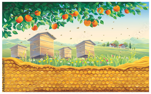 Bee apiary with bee honeycomb in the foreground against the background of a rural landscape with a village. Vector illustration.