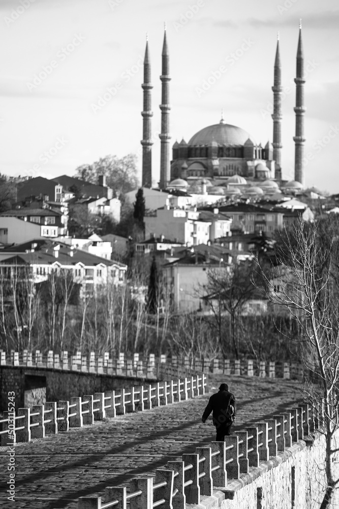 Obraz premium blue mosque