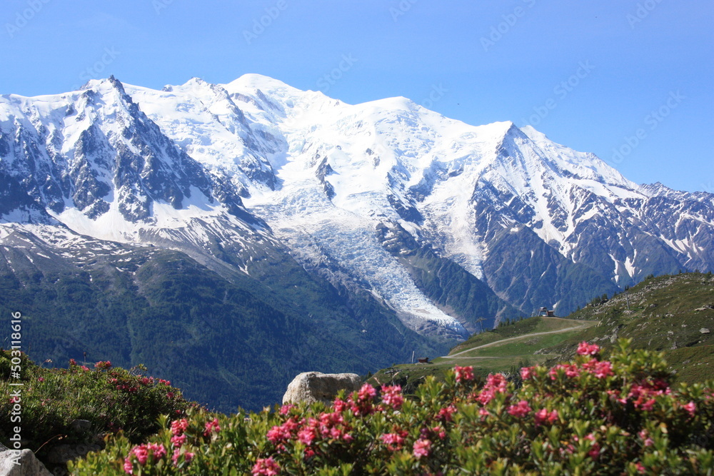 montagnes alpine enneigées, glacier haute savoie  chamonix