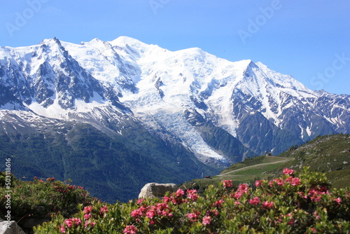 montagnes alpine enneigées, glacier haute savoie  chamonix