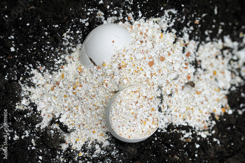 mortared egg Shells on a black earth background photo