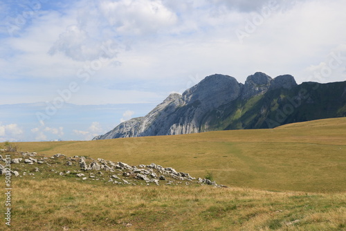 plateau, pâturages, montagnes, rocs., alpages, alpes 