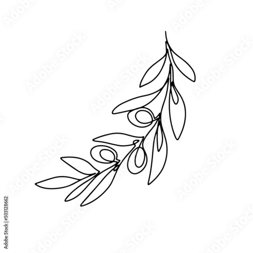 Hand drawn olive branch isolated on white background. Outline olive tree branch for menu, logo, greeting cards, patterns, web. Line art, one line.