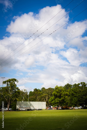 Vertical shot of a park with birds on power lines in Yandina, Australia photo