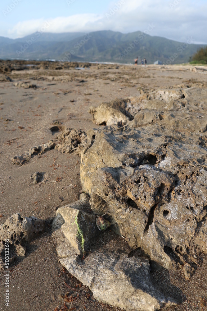 rocks on the beach design for natural and leisure concept rocks on the beach design for natural and leisure concept