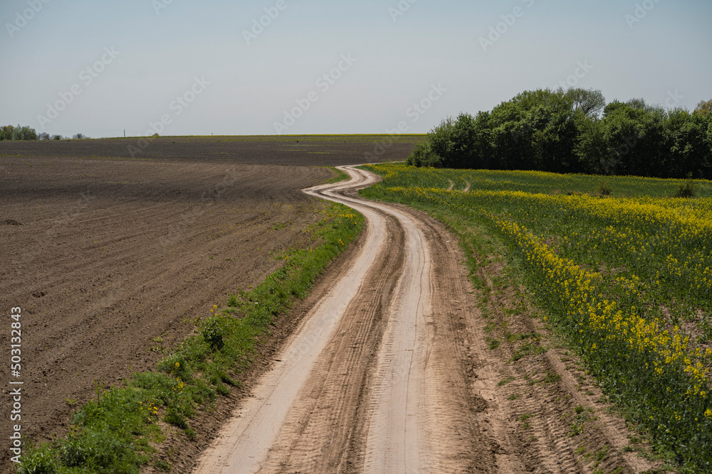 dirt road through fields Ukrainian village, summer sunny day, no one