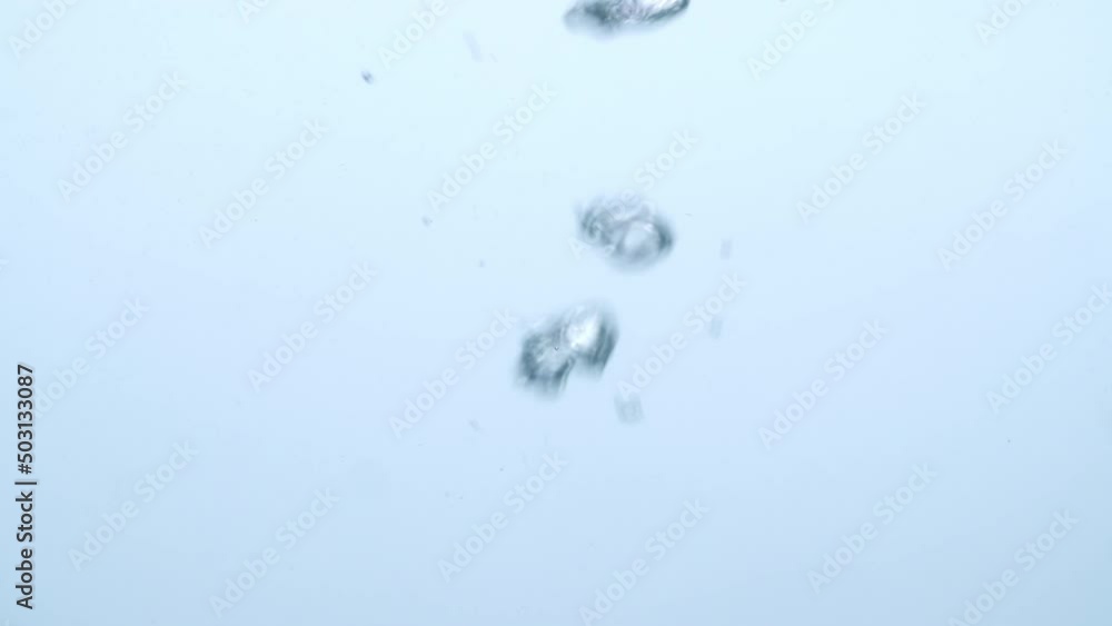 Water Bubbles Going Up In White Background
Water Bubbles Going Up In White Background