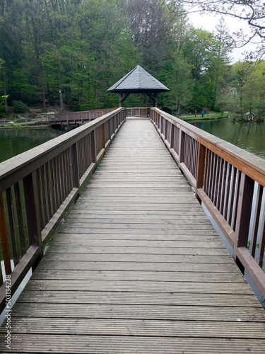 wooden bridge over lake 