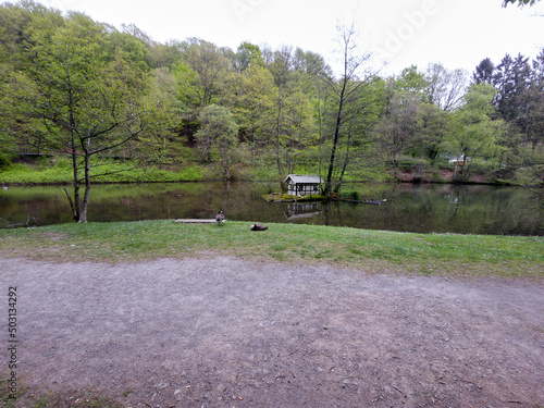 scene of lake in radevormwald, germany, calles 