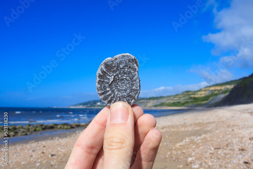 Hand holding a fossil - fossil hunting in Dorset on the Jurassic coast photo
