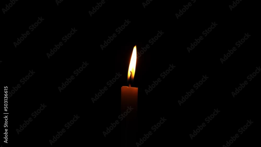 Candle Burning, Isolated Candle Burning With Dark Background
Candle Burning, Isolated Candle Burning With Dark Background