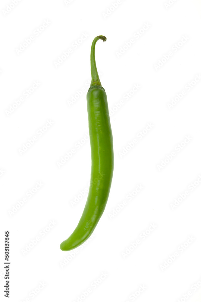 isolated chili peppers on a white background isolated chili peppers on a white background