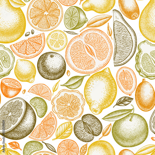 Citrus seamless pattern background design. Engraved style. Hand drawn kumquat, lemon, tangelo, etc.
