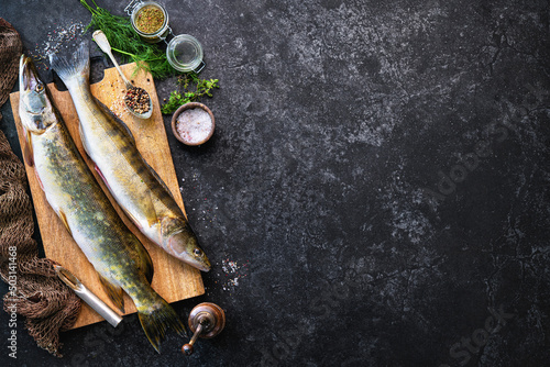 Fresh raw pike perche or zander and pike fish with ingredients prepared for cooking photo
