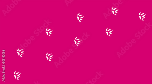 impronte, fauna, orme, animali