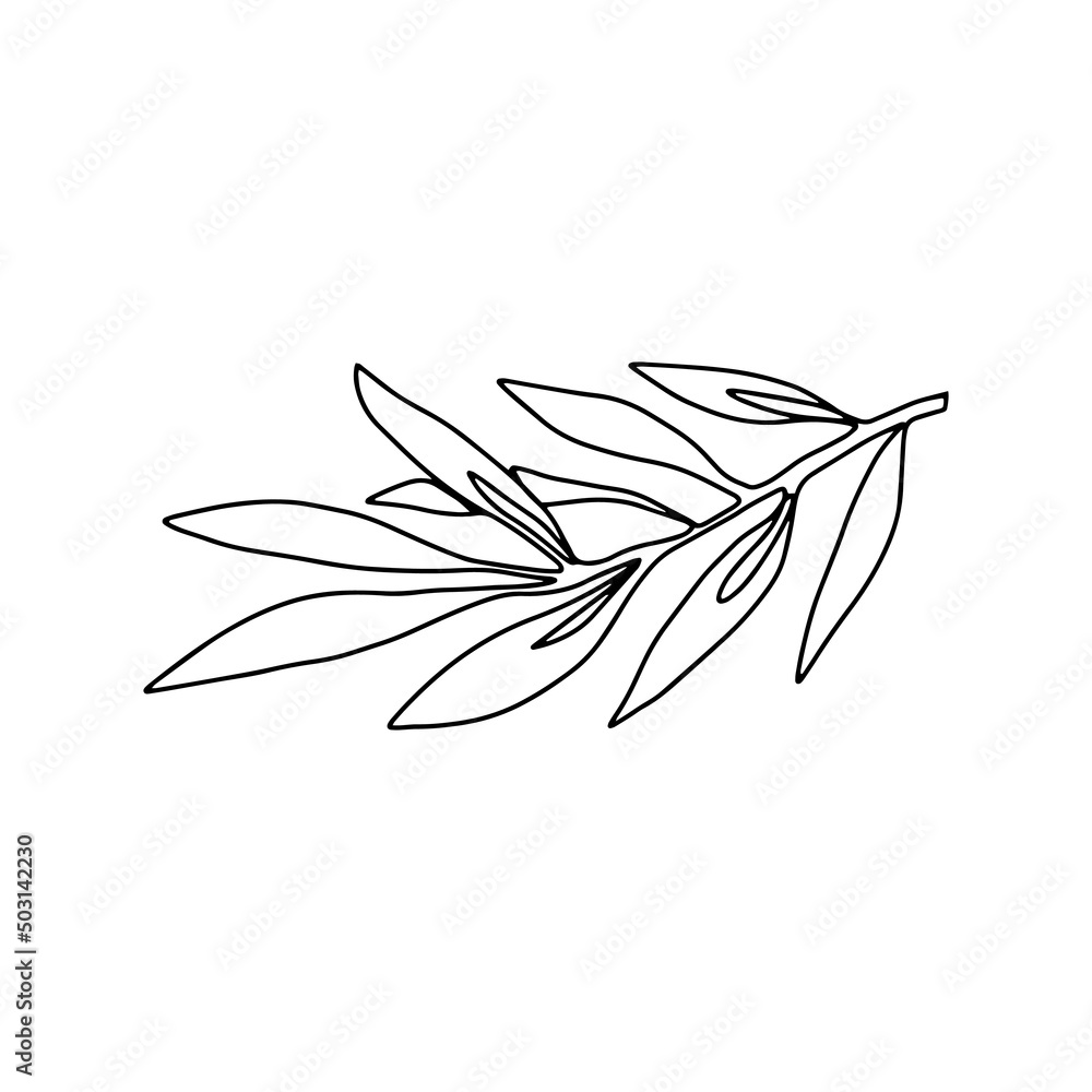 Naklejka premium Hand drawn olive branch isolated on white background. Outline olive tree branch for menu, logo, greeting cards, patterns, web. Line art, one line doodle olive branch.