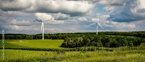 Panoramic shot of windmills on a green field and forest in the background under fluffy clouds