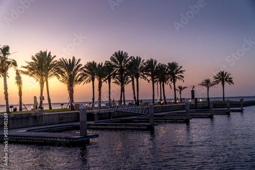 Beautiful shot of Sunset with palms and sea at Sanford Riverwalk and Marina photo