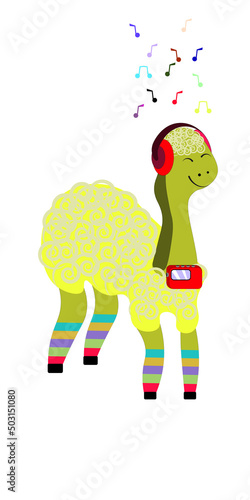 alpaca in stockings listens to music
