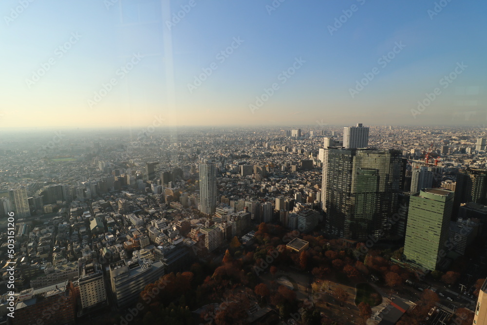 東京都庁の展望室からの都内の眺め