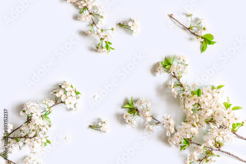 Blooming pastel festive background.Cherry Blossoms Postcard.