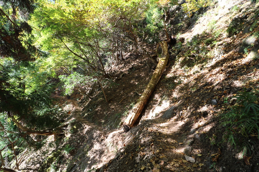 秋の埼玉県秩父の両神山の登山 秋の埼玉県秩父の両神山の登山