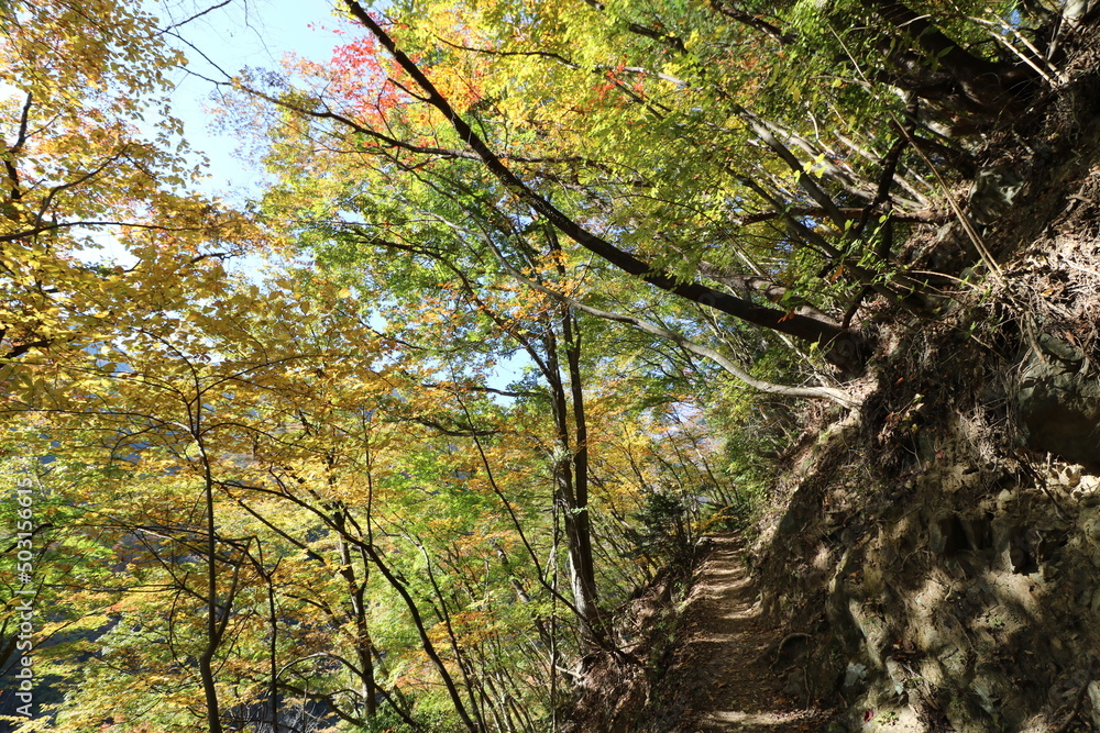 Obraz premium 秋の埼玉県秩父の両神山の登山