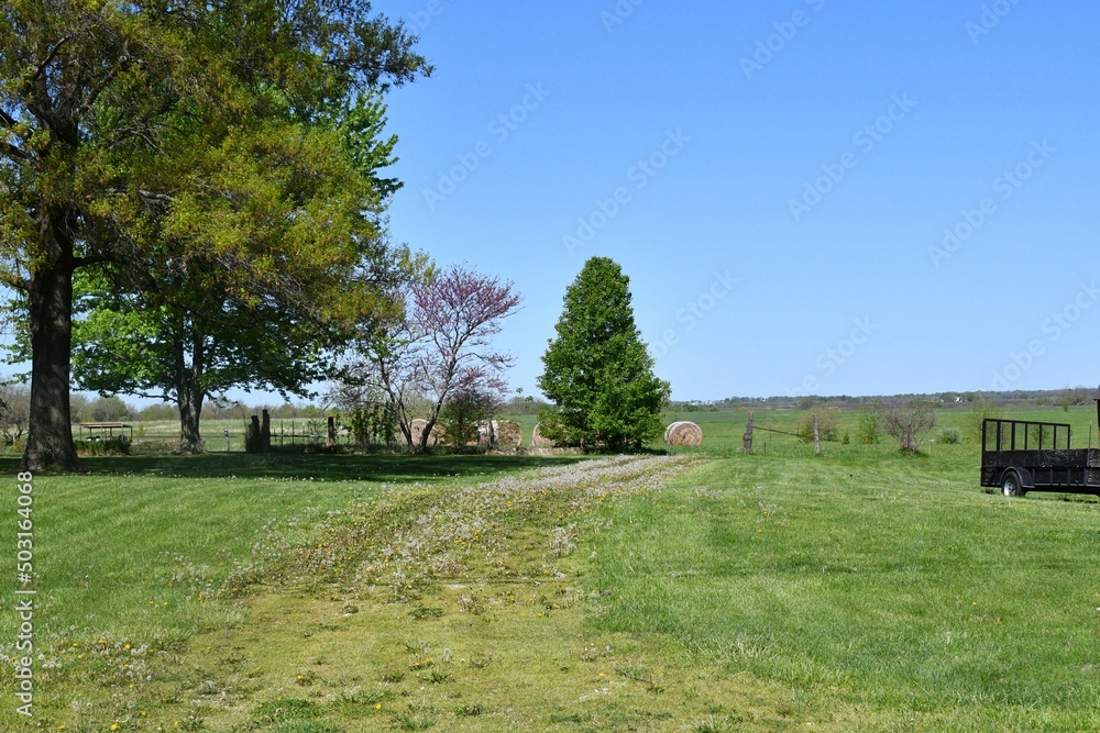 Grassy Lane Leading to a Farm Field Grassy Lane Leading to a Farm Field