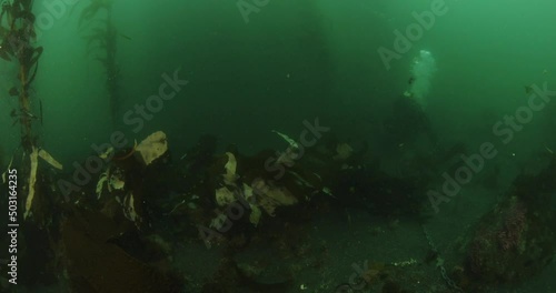 Scuba diver trying to secure anchor in surgy murky conditions. photo