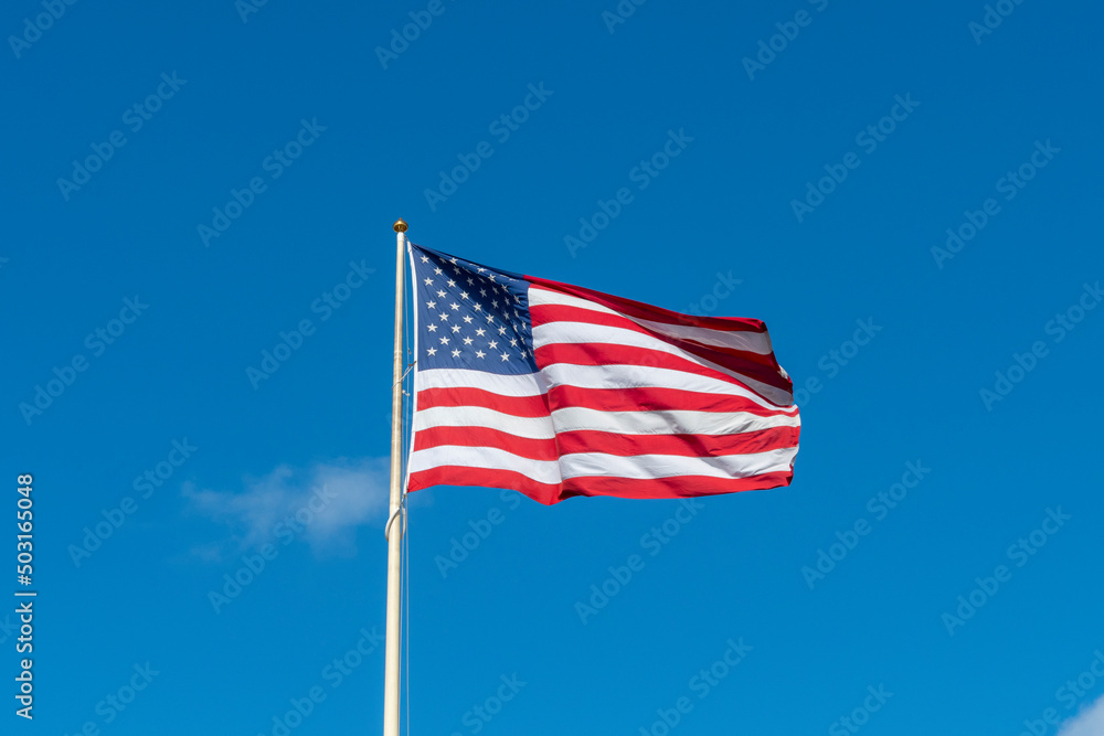 Fototapeta premium The United States of America flag
