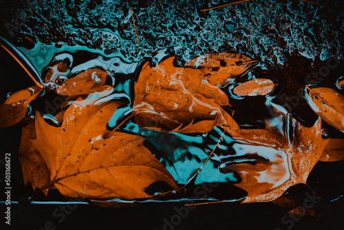 Hoja de otoño en la acera vereda con agua charcos foto con perspectiva desde abajo