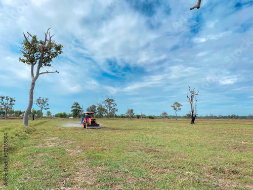 parent and child on a meadow