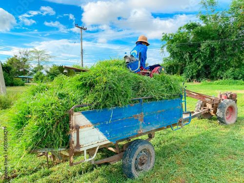 farmer with tractor