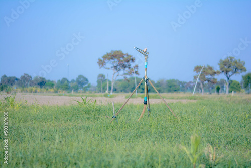 grass and sky