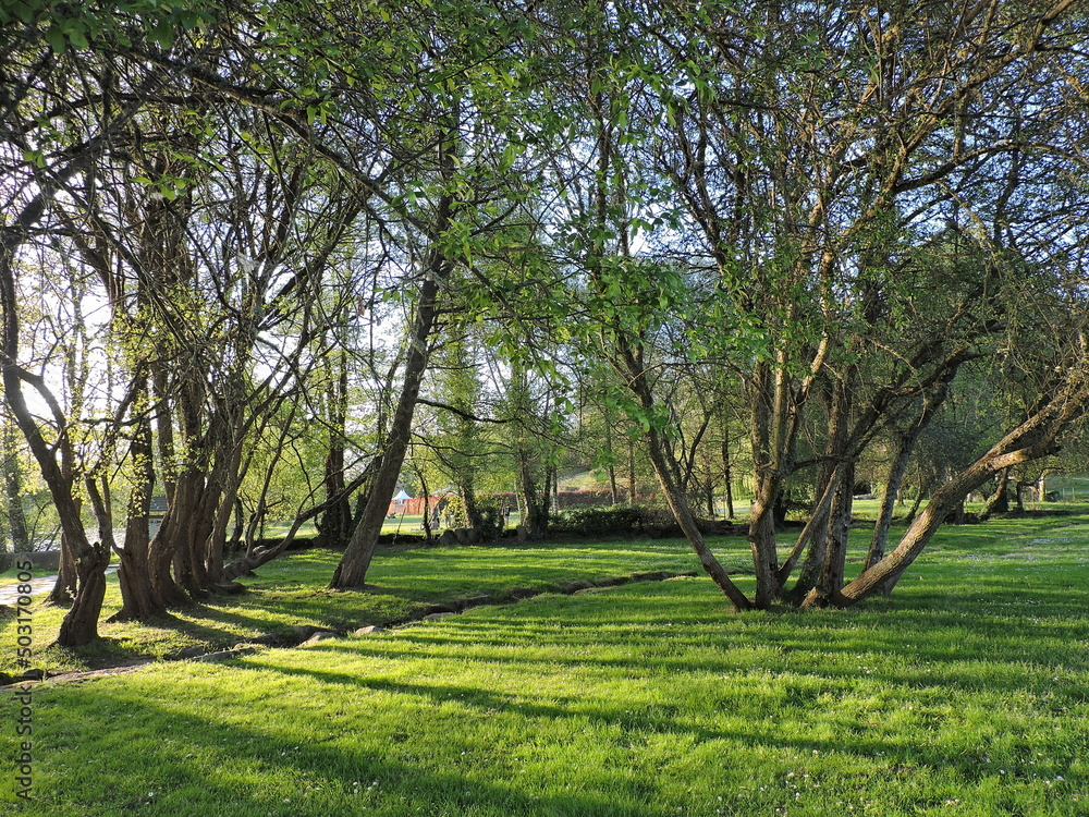 Spring evening in the park, Lugo, Galicia, Spain Spring evening in the park, Lugo, Galicia, Spain