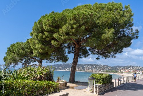 Juan Les pins beach on the Cote d'Azur in the south of France photo