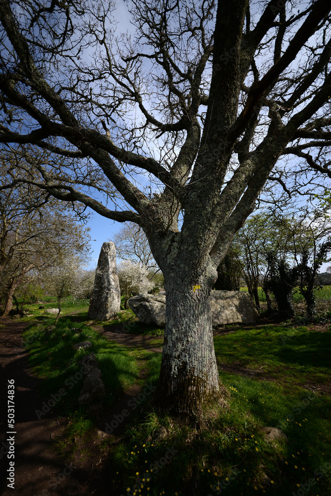 Erdeven alignement menhirs Kerzerho Erdeven alignement menhirs Kerzerho