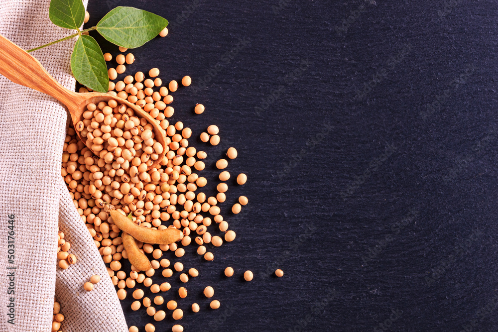 Soya beans with wooden spoon and burlap on the black surface of the slate stone, top view, closeup with space for text
