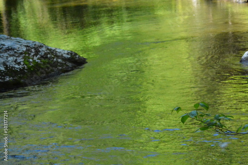 Fototapeta Naklejka Na Ścianę i Meble -  Mountain Stream, Beautiful clear Water