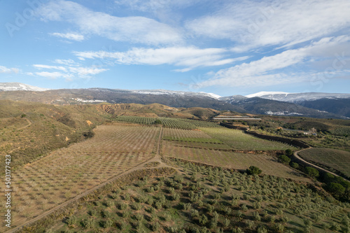 farmland in the south of Granada