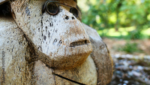 close up of a head of a trunk