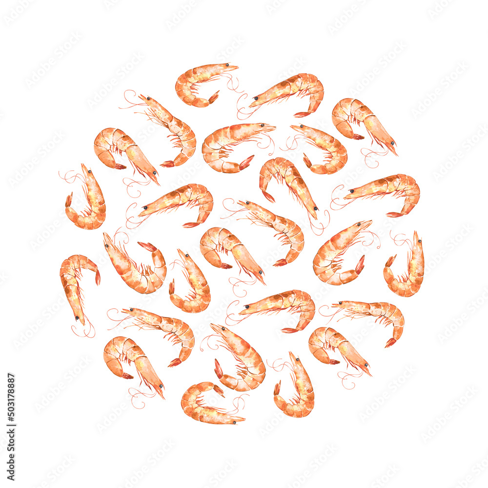 Backdrop with watercolor illustrated prawns Backdrop with watercolor illustrated prawns