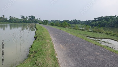 landscape with fish field and road