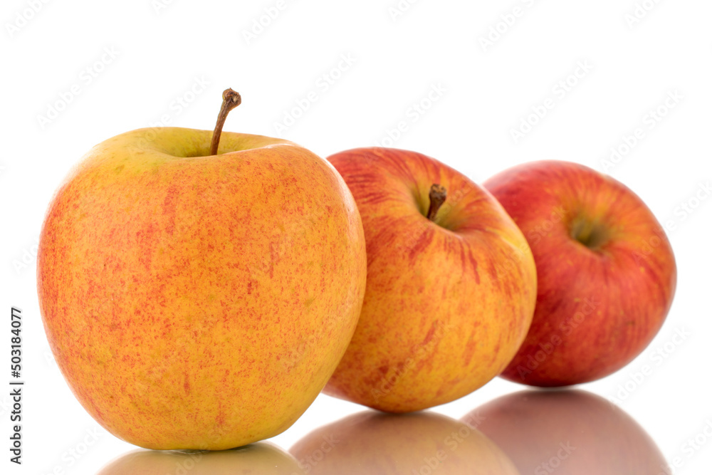 Three sweet ripe apples, close-up, isolated on a white background. Three sweet ripe apples, close-up, isolated on a white background.