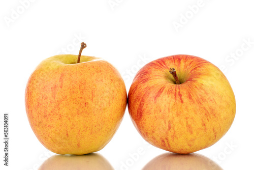 Two sweet ripe apples, close-up, isolated on a white background.