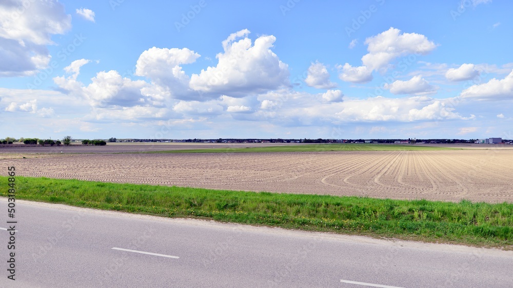 Fototapeta premium Spring countryside landscape with flat and low land under blue sky,