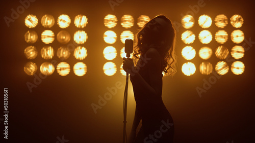Canvas Print Silhouette woman singer moving seductively in studio