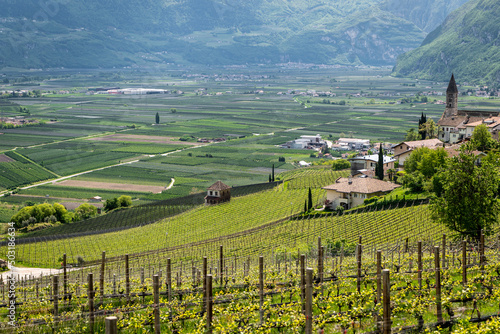 landscape of Cortaccia (Kurtatsch) in South Tyrol, northern Italy: The idyllic wine village lies on a sunny high plateau 333 m a.s.l photo