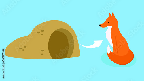 red fox lives in a hole
